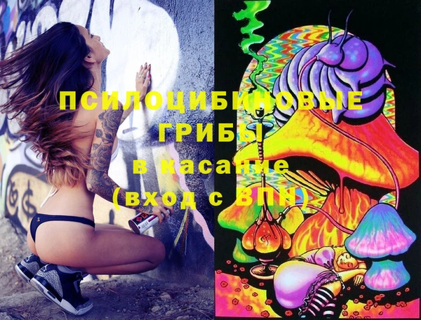 2c-b Алзамай