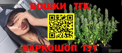 эйфоретик Гусь-Хрустальный