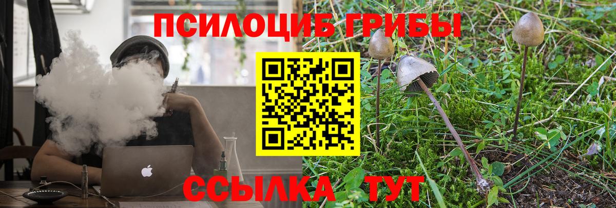 Псилоцибиновые грибы Magic Shrooms Тулун